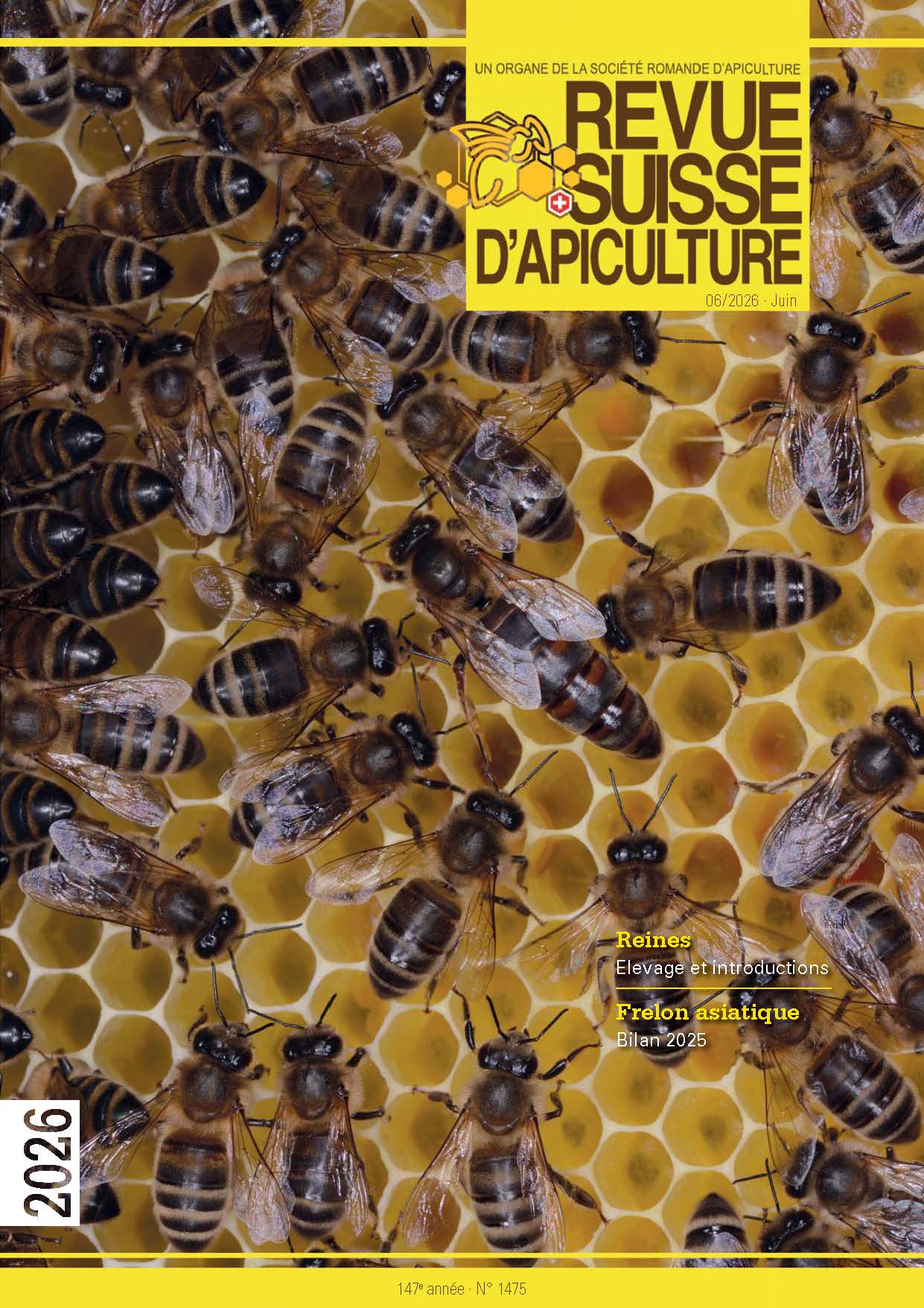 Aktuelle Ausgabe