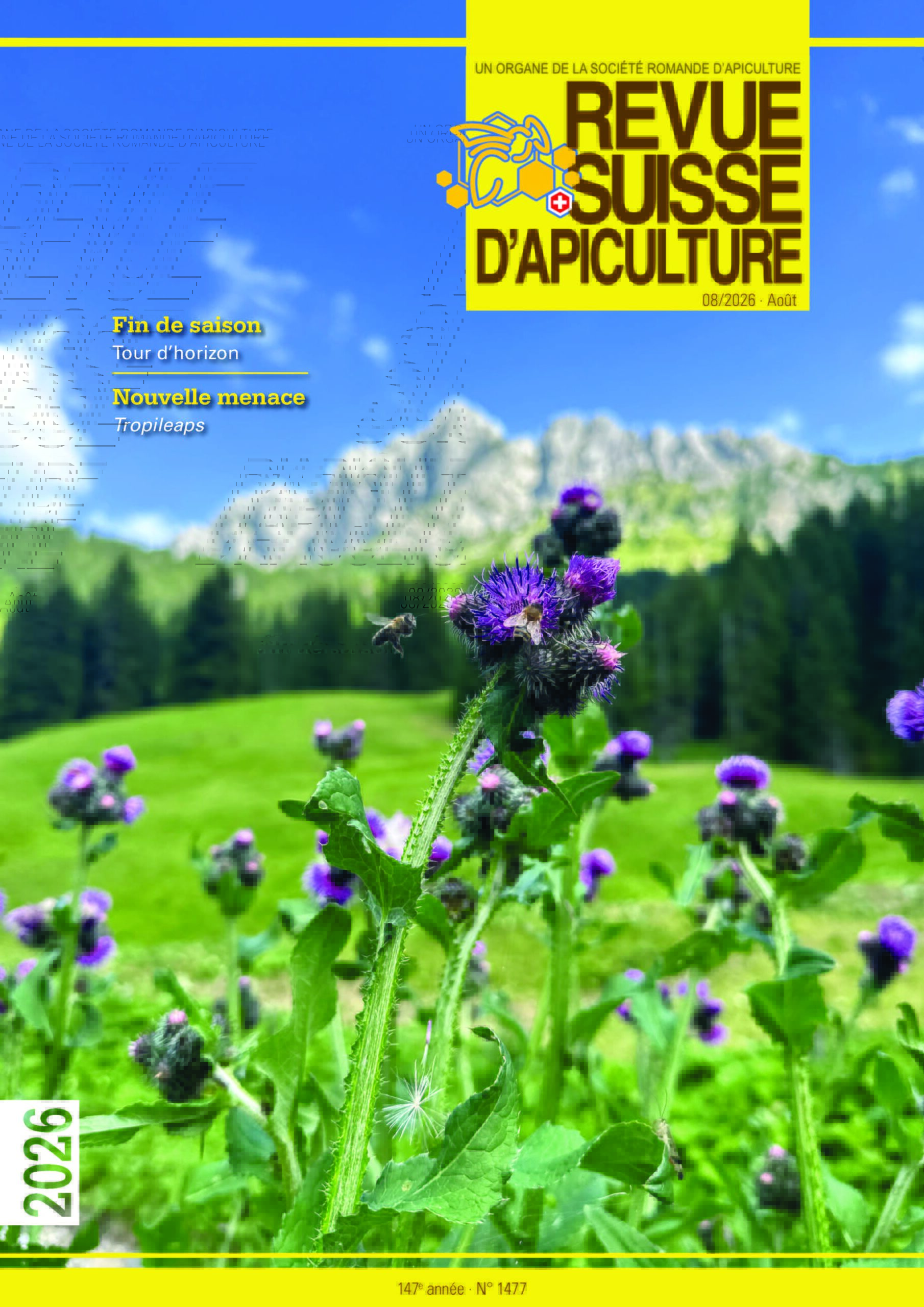 Aktuelle Ausgabe