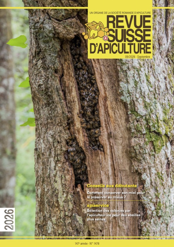 Aktuelle Ausgabe